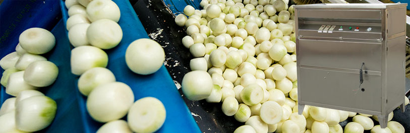 http://vegetable-machine.com/wp-content/uploads/2017/07/automatic-onion-peeling-machine-for-sale-1.jpg