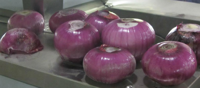 onion peeling process by onion peeling machine