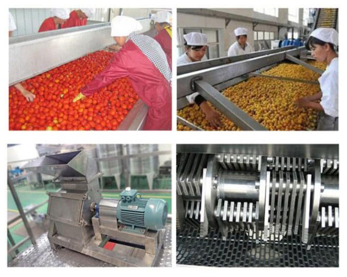 Tomato sorting machine and crushing machine