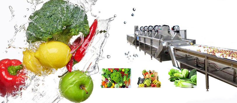 vegetable cleaning processing line for processing vegetable automatically