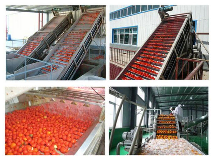 tomato conveyor and tamato washing machine