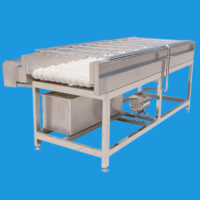 single deck vegetable cleaning machine