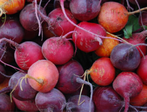 Beet Processing Industry