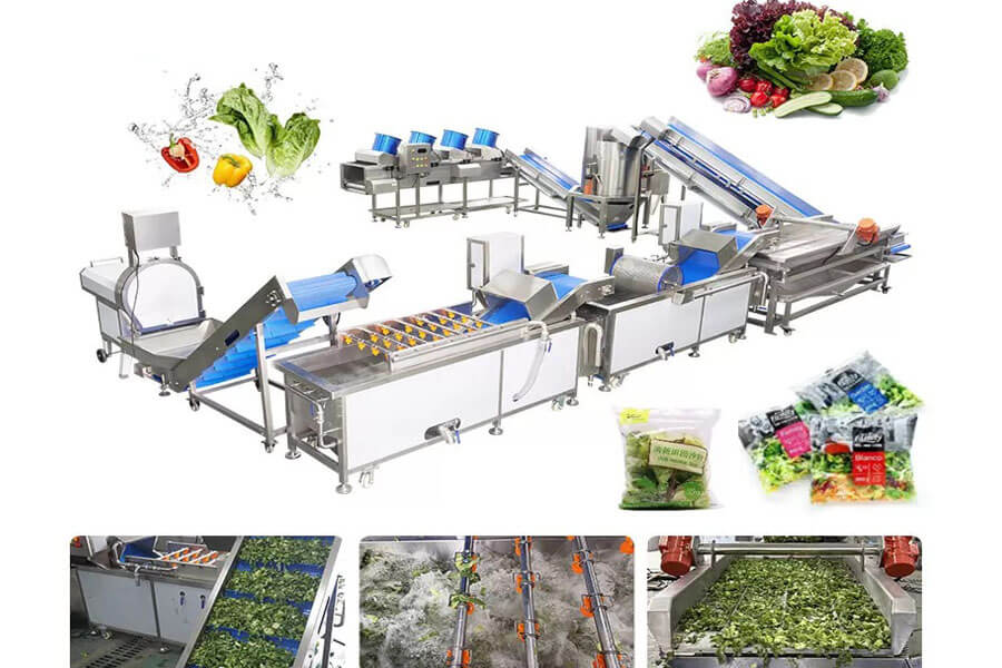 Fresh-Cut Salad Production Line & Ready-to-Eat Packaging | Fresh ...