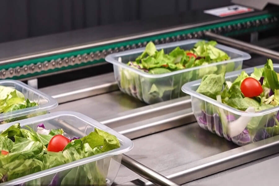 Fresh-Cut Salad Production Line & Ready-to-Eat Packaging | Fresh ...
